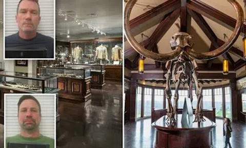 Đùa nghịch, 2 người đàn ông U50 làm vỡ ngà voi trị giá 5,2 tỷ đồng