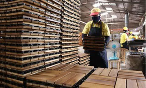 Hành trình đưa hàng Việt chinh phục thế giới