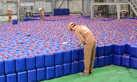 Cổ phiếu Hóa chất Đức Giang (DGC) giảm kịch sàn sau khi lãnh đạo bị bắt