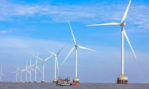 "Trùm" năng lượng tái tạo Việt Nam vừa làm điều chưa từng có