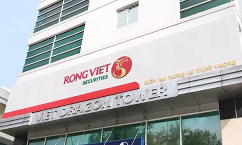 Kido Foods nâng sở hữu tại Chứng khoán Rồng Việt