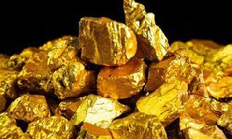 Một doanh nghiệp lên kế hoạch trả cổ tức "khủng" 11.900 đồng/cp, khai thác hàng tấn vàng năm 2026