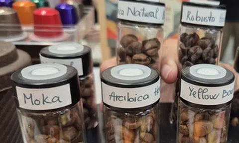 Giá cà phê hôm nay 29-3: Dự báo đáng chú ý
