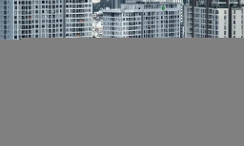 Chuyên gia đề xuất không 'phân biệt đối xử' với tín dụng bất động sản