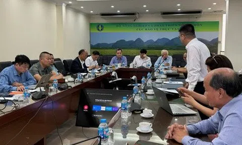 Căng thẳng Trung Đông, nhiều nhà máy phân bón vận hành hết công suất, giữ giá bán hợp lý