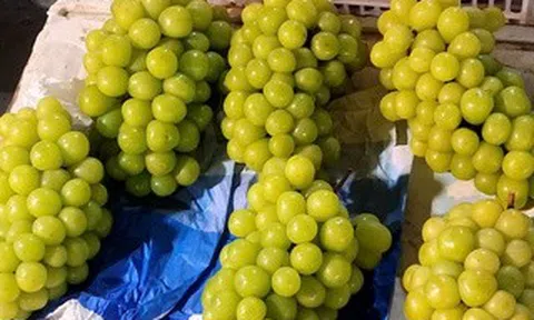 Việt Nam chi hàng trăm triệu USD nhập khẩu nho tươi Trung Quốc