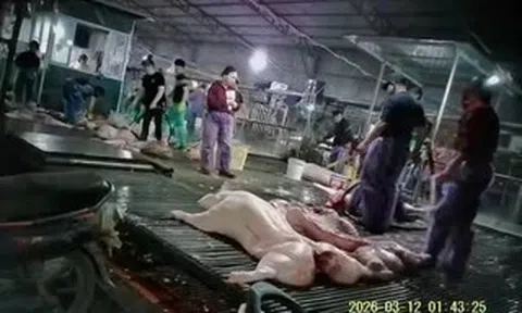 Bịt lỗ hổng quản lý thực phẩm