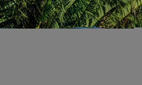 Ford Mustang Mach-E giảm 900 triệu, giá mới 1,7 tỷ đồng