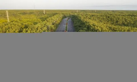 Vingroup đề xuất mở rộng đường Rừng Sác ở Cần Giờ lên 10 làn xe