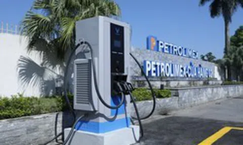 Bán gần 20 triệu tấn xăng dầu, doanh thu của Petrolimex vẫn thua xa Vingroup?