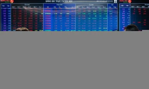 Nhà môi giới chứng khoán nào dẫn đầu thị phần HoSE?