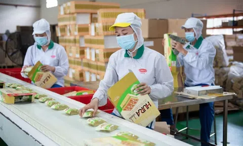 'Đại gia' Indonesia mua lại Bibica của Việt Nam giá 2.600 tỷ