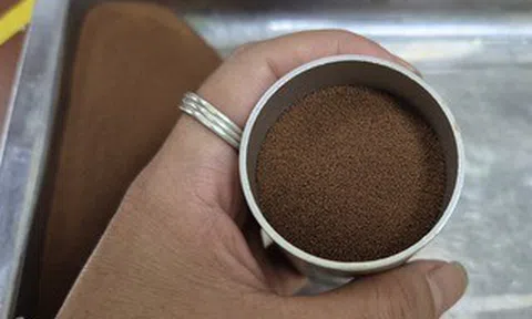 Giá cà phê hôm nay 9-4: Arabica dẫn dắt đà tăng, cà phê thương hiệu Việt lép vế