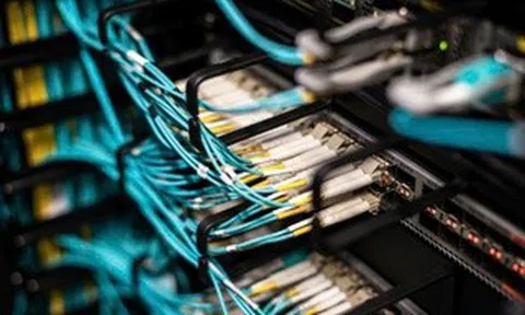 Hơn 50% doanh nghiệp Việt Nam thiếu hụt chuyên gia an ninh mạng