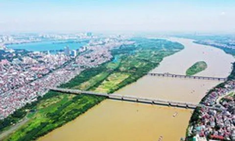 Tỷ phú Phạm Nhật Vượng vừa làm một việc “không thể chậm trễ” cho người dân ven biển đồng bằng sông Hồng