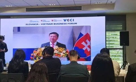 TPHCM mời doanh nghiệp Slovakia đồng hành xây dựng Trung tâm tài chính quốc tế