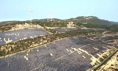 Gia Lai chấp thuận nhà đầu tư thực hiện 4 dự án điện gió, điện mặt trời