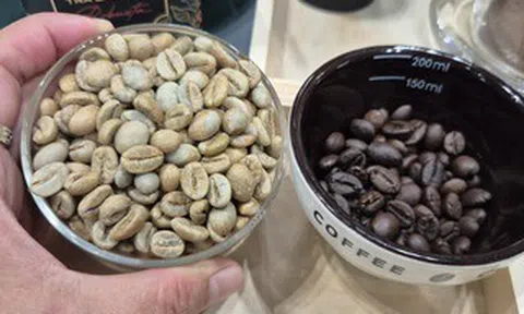 Giá cà phê hôm nay 18-4: Giảm tiếp, bất chấp Brazil xuất khẩu thấp nhất 8 năm qua