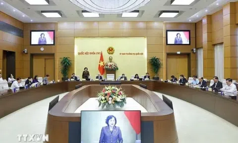 Rà soát kỹ quy định ngưỡng doanh thu miễn thuế với hộ kinh doanh