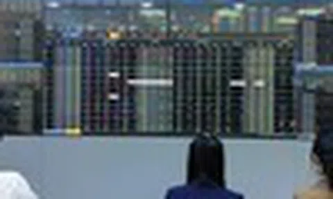 Tìm cơ hội giữa vùng nhiễu