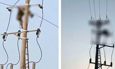 Bàng hoàng phát hiện thi thể nam sinh treo trên cột điện trung thế
