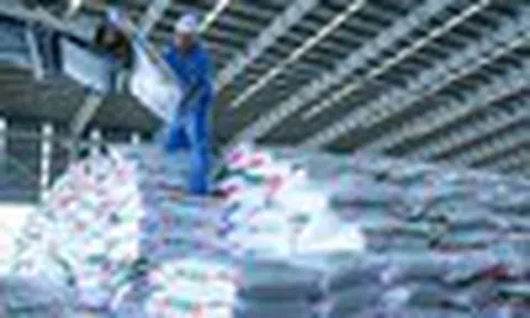 Cổ phiếu cần quan tâm ngày 23/4