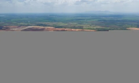 Long Thành có gì trước tham vọng định hình đô thị sân bay phía Nam?