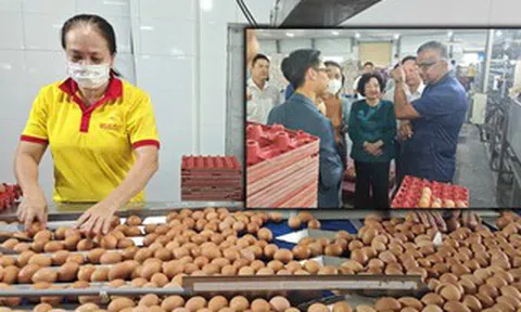 Tiếc cho thương hiệu trứng sạch Ba Huân