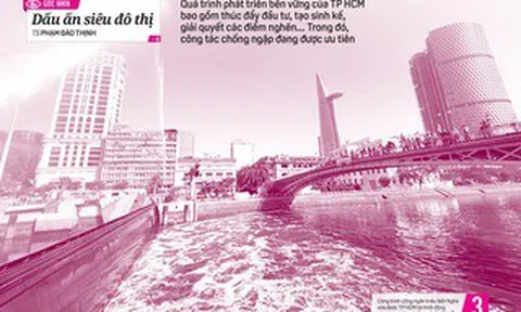 Báo in ngày 26-4: Phía sau xe gian là nước mắt người nghèo