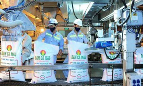 Tổng tài sản của Đạm Cà Mau tăng thêm 1.200 tỷ đồng sau một quý