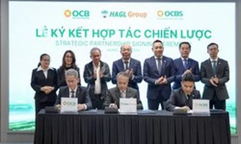 HAGL trở lại thị trường trái phiếu với thương vụ 2.000 tỷ đồng và dấu ấn “kiến trúc sư tài chính” OCBS