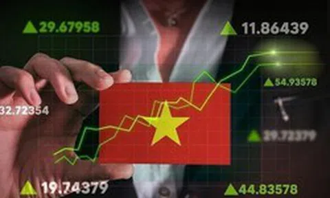 Nhóm chứng khoán đua nhau “xanh, tím” sau tin vui liên quan nâng hạng, những cổ phiếu nào dự báo hút dòng tiền lớn?