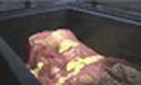 Phát hiện 'quan tài máu', chuyên gia vừa vén khăn che mặt nữ thi đã vội hét lớn: Nguy hiểm, mau rút lui!
