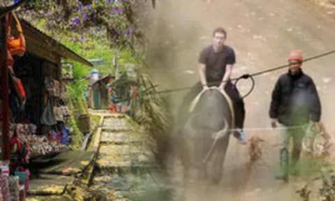 Việt Nam có 1 ngôi làng khiến Mark Zuckerberg cưỡi trâu đến thăm, xứng danh điểm đến đẹp nhất châu Á