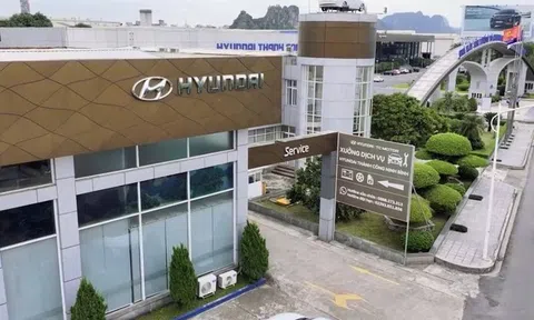 Doanh thu trên 1.000 tỷ đồng vẫn báo lỗ, công ty con TC Group vào "tầm ngắm" rà soát thuế
