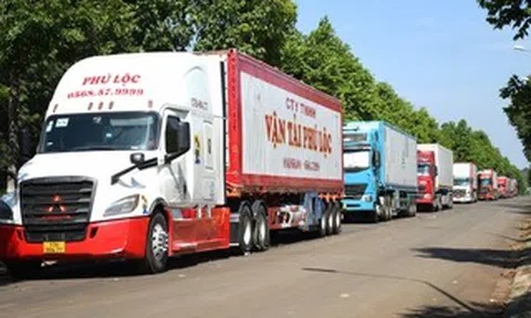 Vải thiều - sầu riêng cùng gặp khó