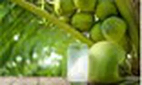 3 lời khuyên cho các gia đình hay uống nước dừa