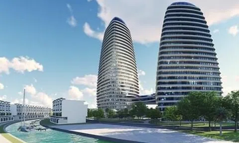 Mỗi ngày phải "gánh" hơn 1,4 tỷ đồng lãi vay, I.P.A vẫn lãi lớn quý đầu năm