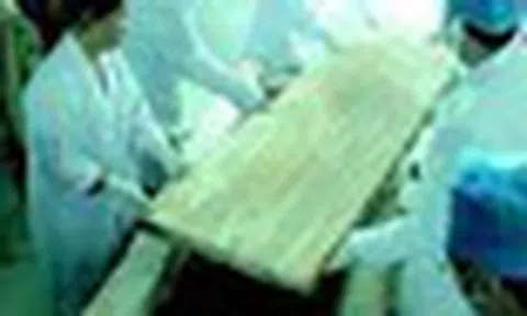Bật nắp quan tài bịt kín nhiều năm, chuyên gia giật mình khi một bóng đen bất ngờ phóng ra: Quá khó tin!