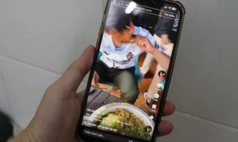 Câu view: Đừng đùa với pháp luật!