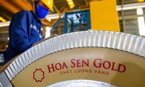 Hoa Sen Group tăng vốn vượt 8.000 tỷ đồng sau đợt trả cổ tức