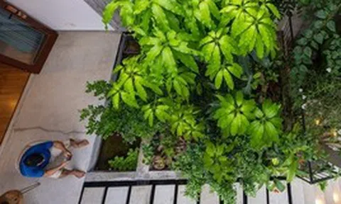 Ông bà dạy: Trong nhà có 5 điều này xuất hiện, khôn ngoan thì giữ cho kỹ, càng ở càng tích nhiều may mắn