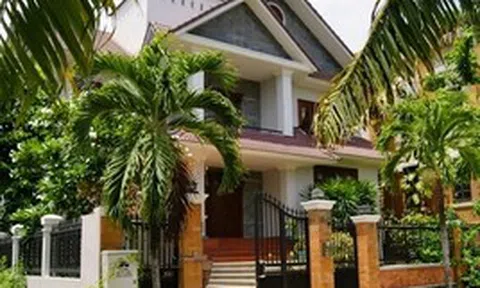 4 lý do bạn nên trồng một cây cau trước nhà