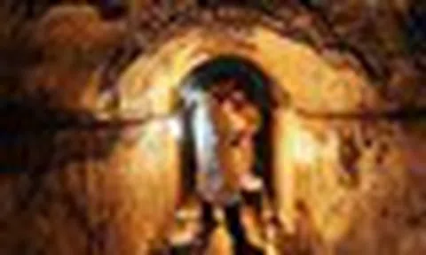 Khai quật mộ cổ 500 năm, chuyên gia hoảng hốt khi thấy "quái thú" sống bên trong: Nó đã ở đó từ bao giờ?