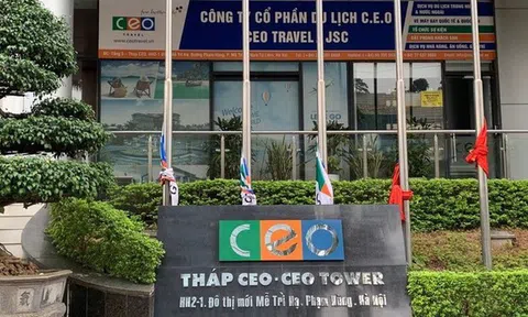 CEO Group phát hành gần 28,4 triệu cổ phiếu trả cổ tức cho cổ đông