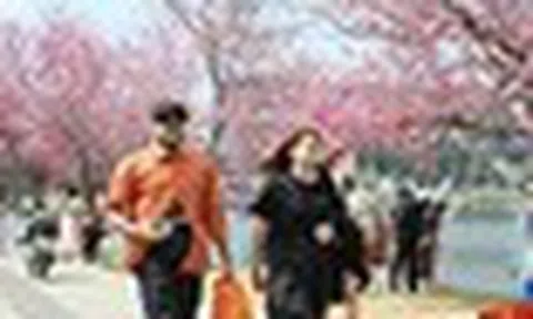 Không phải Sa Pa, đây mới là đại diện duy nhất của Việt Nam lọt top 7 điểm đến "lãng mạn như châu Âu"