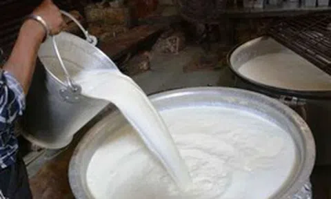 Đột kích một nhà máy, công an triệt phá đường dây sản xuất sữa giả, tịch thu hàng trăm lít hóa chất và máy trộn công nghiệp