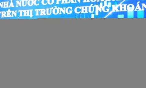 Gỡ khó cho doanh nghiệp Nhà nước chưa đủ chuẩn công ty đại chúng