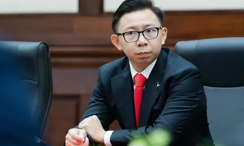 Con trai ông Phạm Nhật Vượng làm CEO công ty khai thác quặng 5.000 tỷ