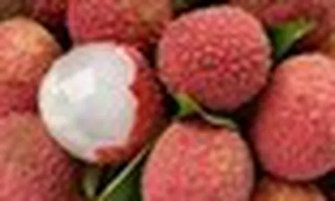 Lời khuyên cho những người thích ăn vải